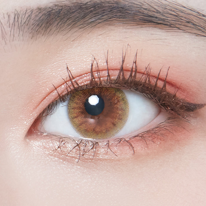 Retears Brown (2pcs / 3Months) Colored Contacts