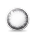 Unisome Gray (2pcs / Monthly) Colored Contacts