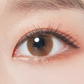 Thrice-S Brown (2pcs / Monthly) Colored Contacts