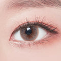 DODO Gray Colored Contacts