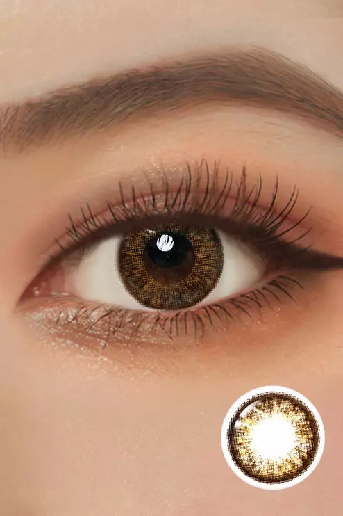 Aria Pi1 Brown Toric Colored Contacts