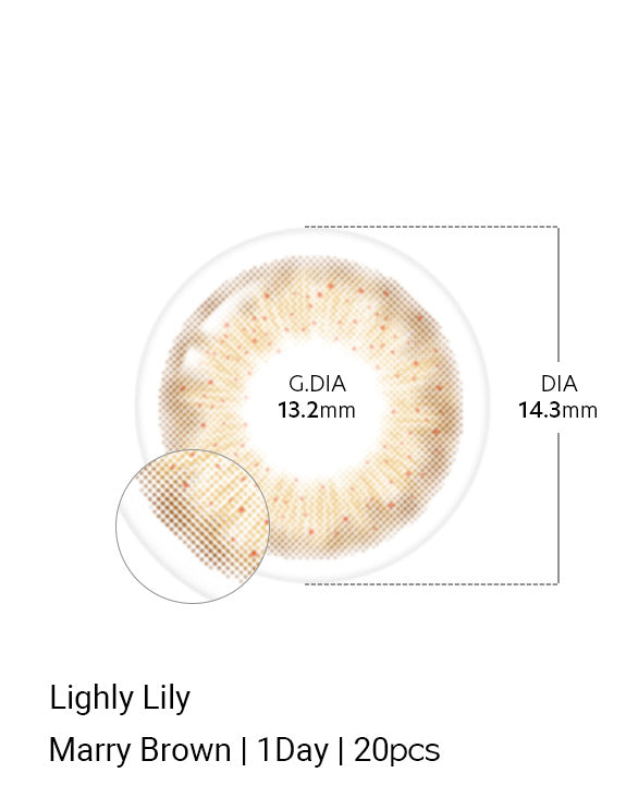 Lighly Lily Marry Brown - LENSTOWNUS