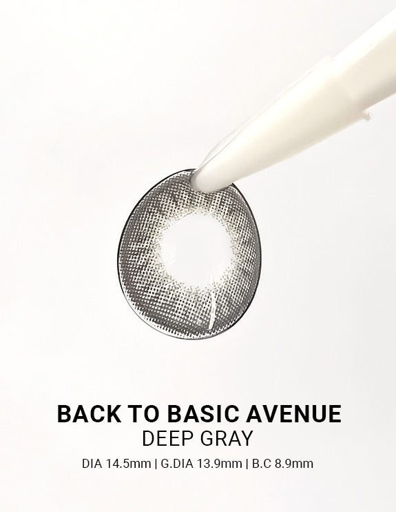 Back to Basic Avenue Deep Gray - LENSTOWNUS